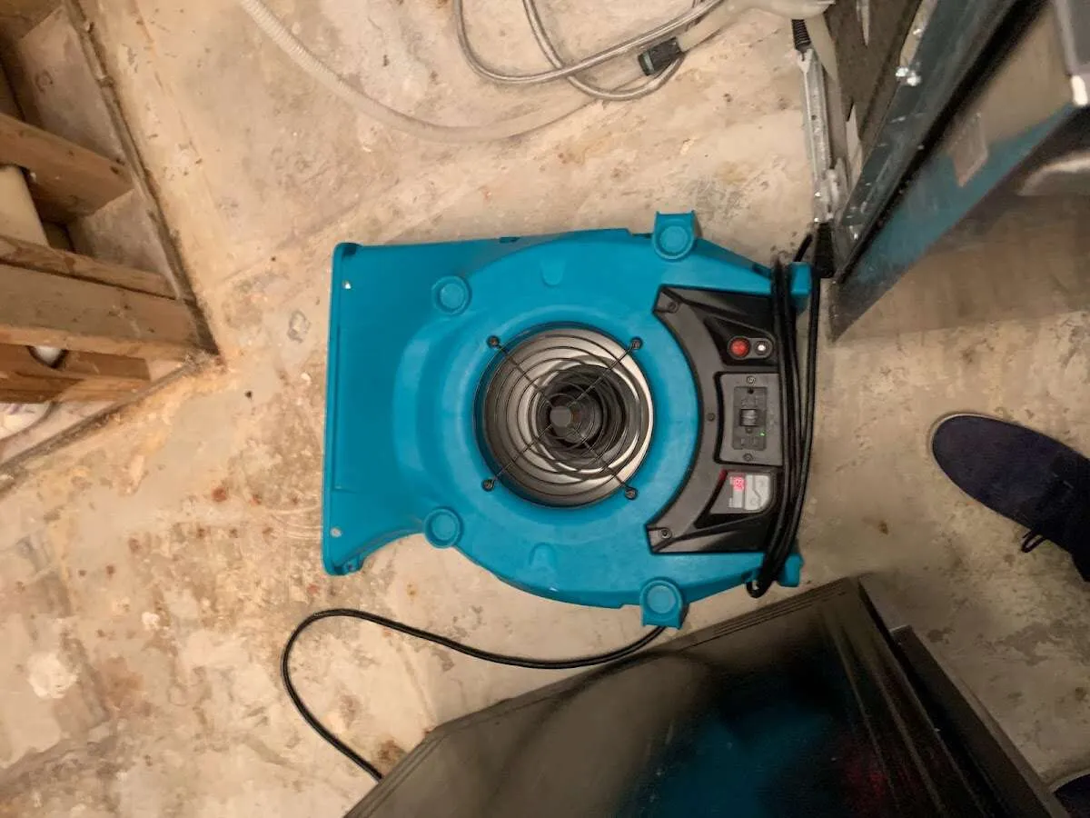Air mover drying equipment for Mold Remediation & Removal in Denison